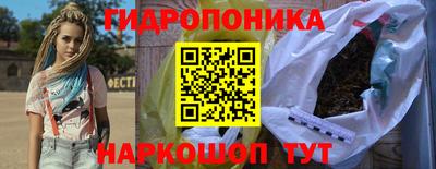 стаф Кулебаки