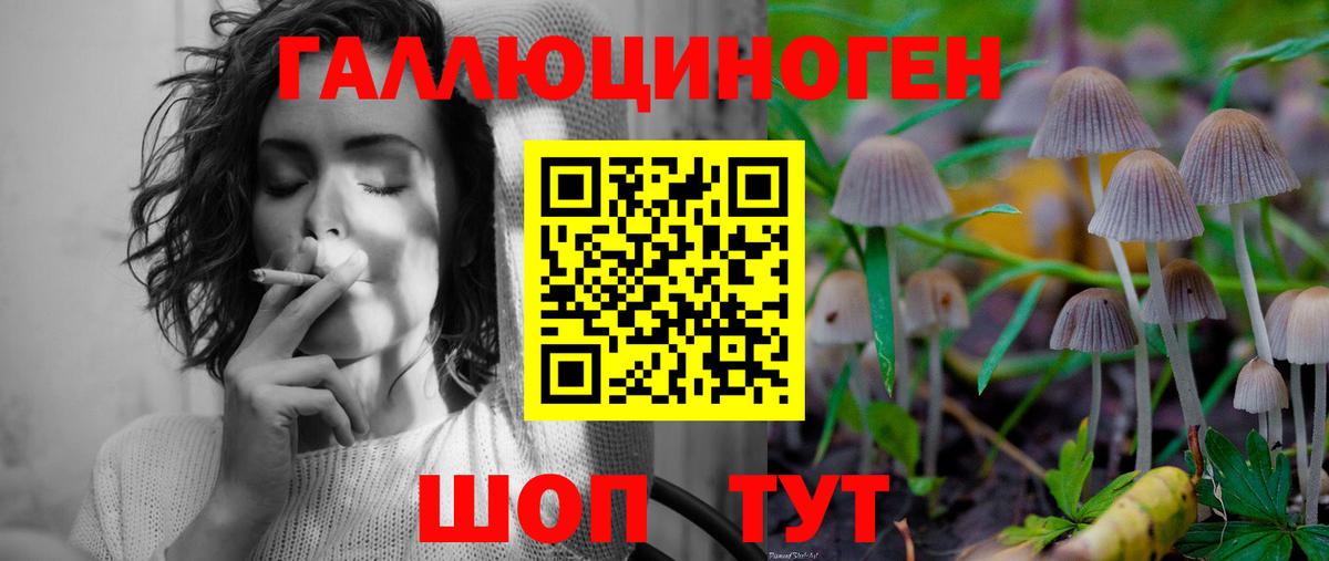 Псилоцибиновые грибы GOLDEN TEACHER  Вход с VPN  Удомля  Галлюциногенные грибы Psilocybine cubensis 